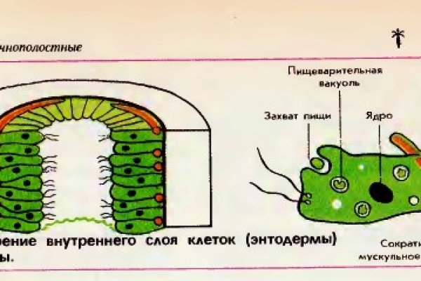 Магазин кракен дарк